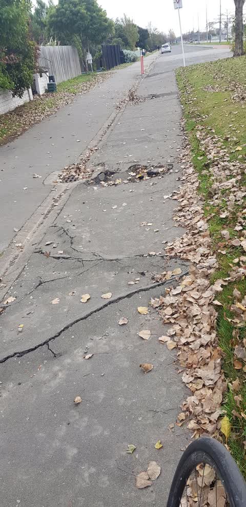 Roading/Streets, a report photo