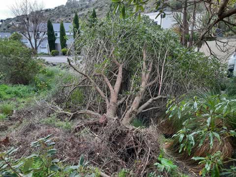 Parks, a report photo