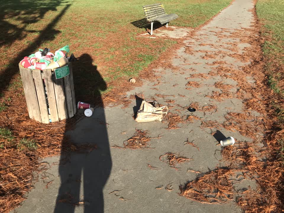 The photograph attached to this rubbish/recycling report