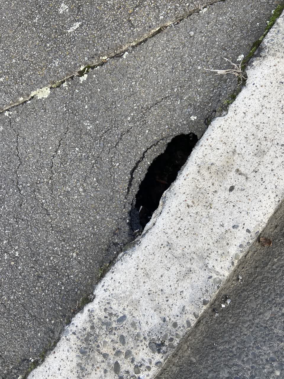The photograph attached to this roading/streets report