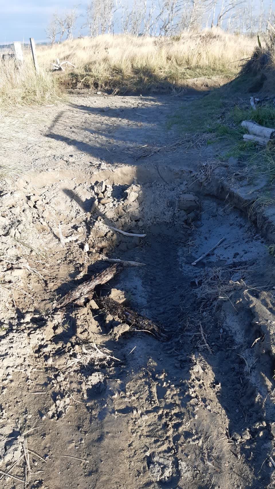 The photograph attached to this parks report