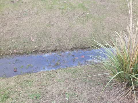 Parks, a report photo