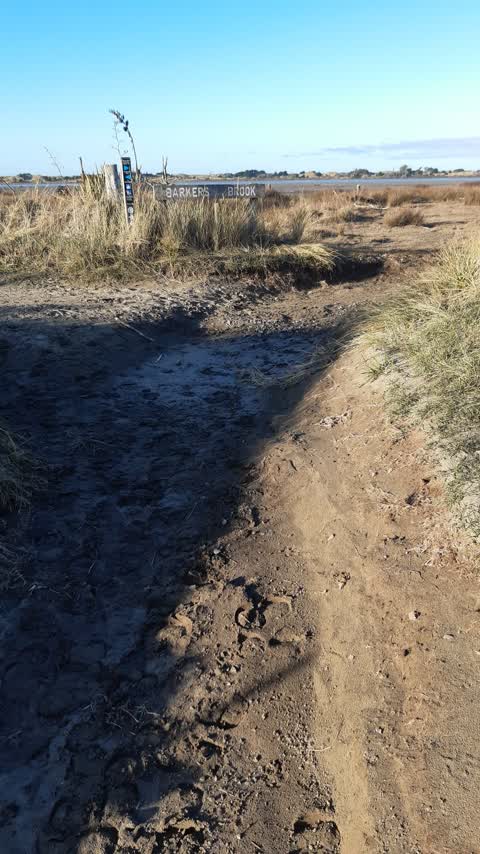 Parks, a report photo
