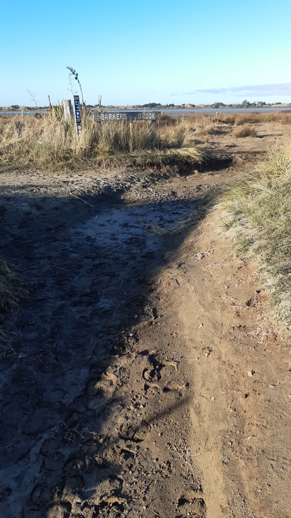 The photograph attached to this parks report