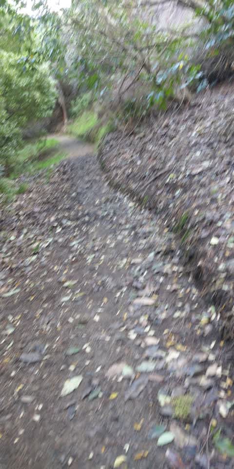 Parks, a report photo