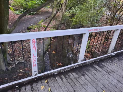 Graffiti, a report photo
