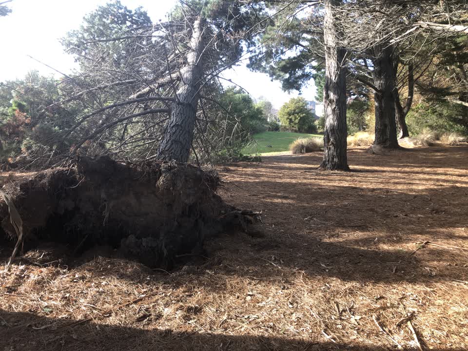 The photograph attached to this parks report