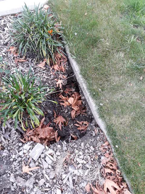 Wastewater/Stormwater — a report photo