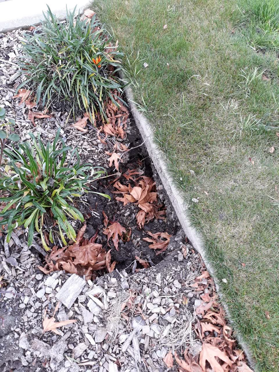 The photograph attached to this wastewater/stormwater report