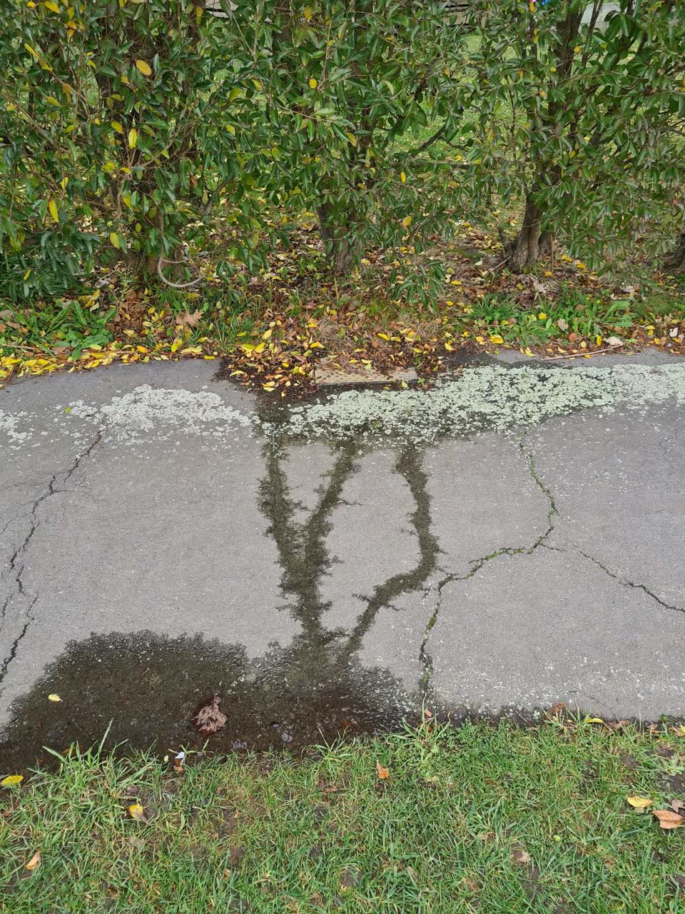The photograph attached to this water leak report