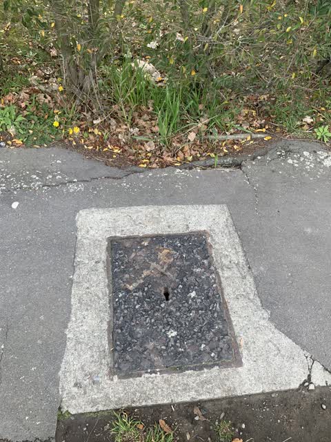 Wastewater/Stormwater, a report photo