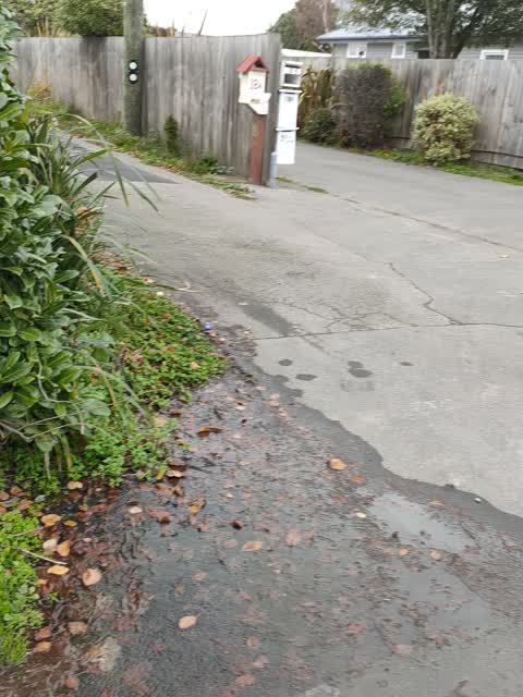 Water Leak, a report photo