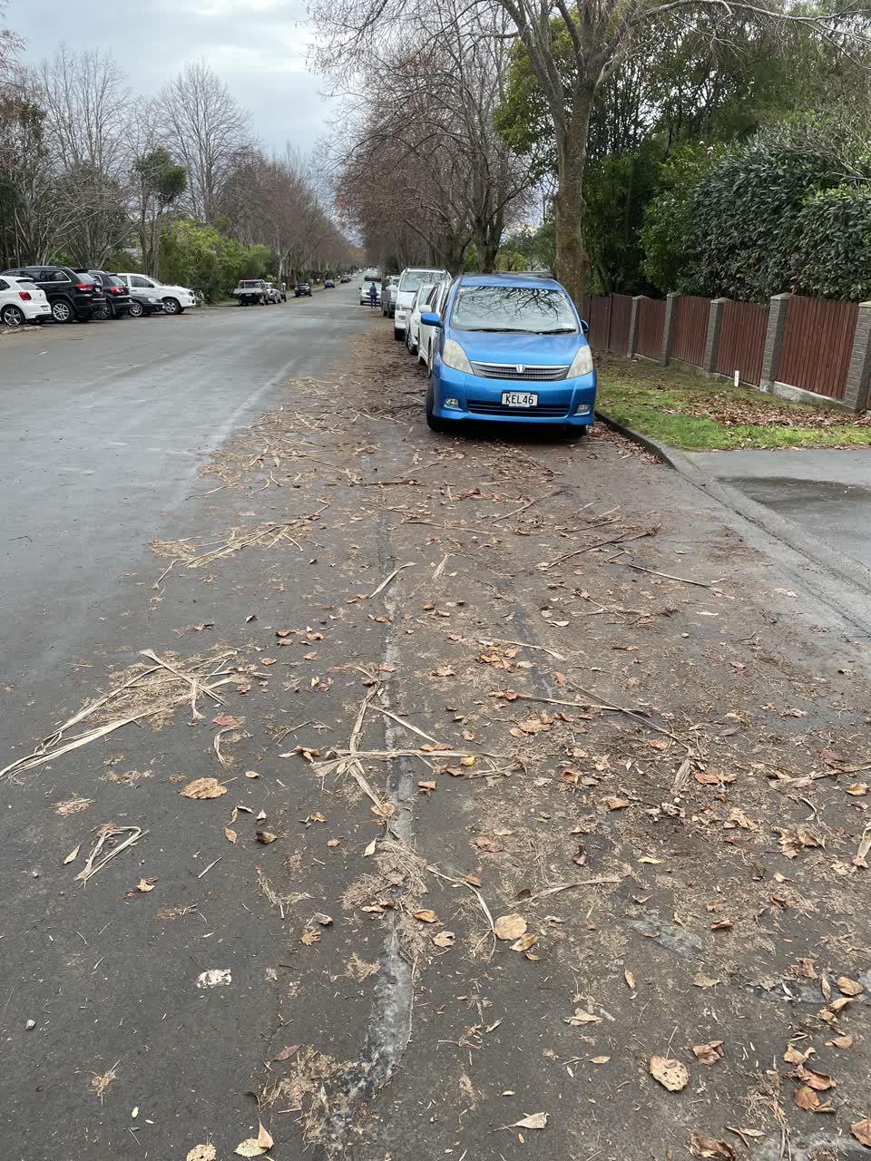 The photograph attached to this roading/streets report