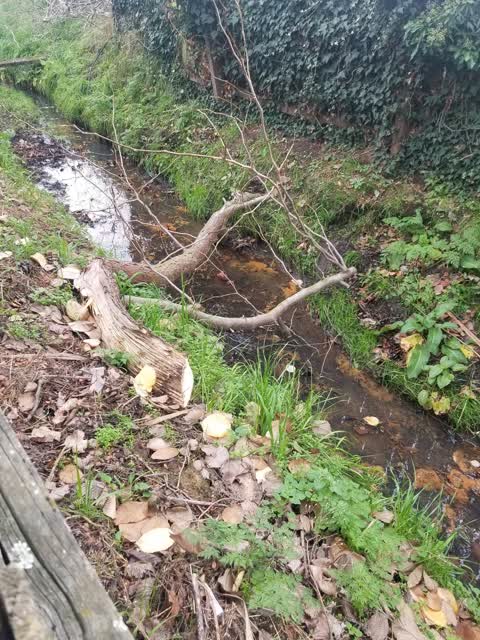 Wastewater/Stormwater, a report photo