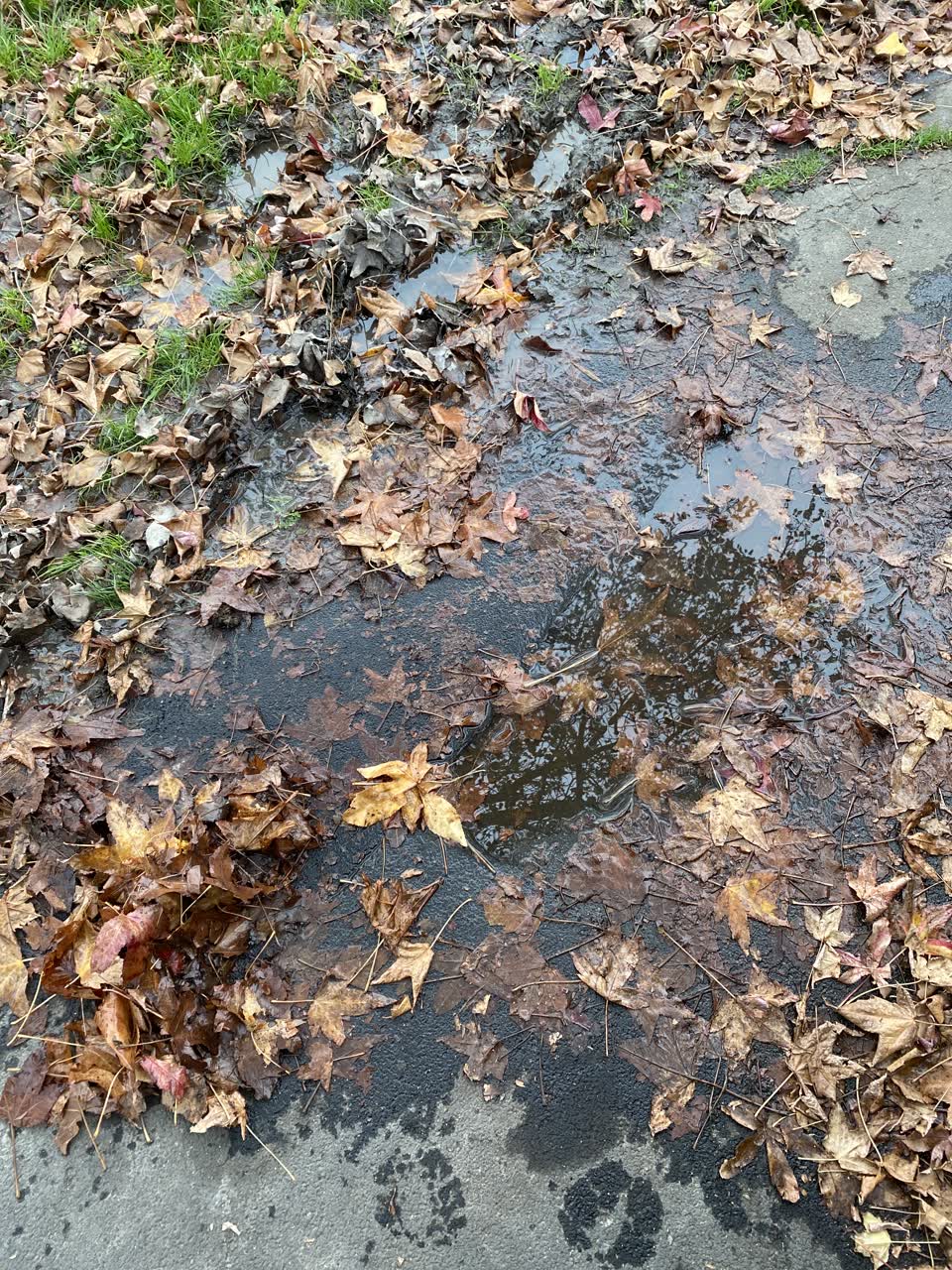 The photograph attached to this water leak report