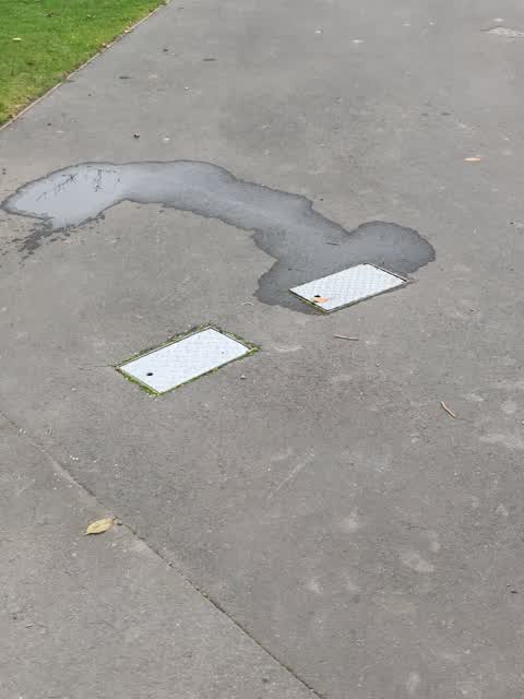 Water Leak, a report photo