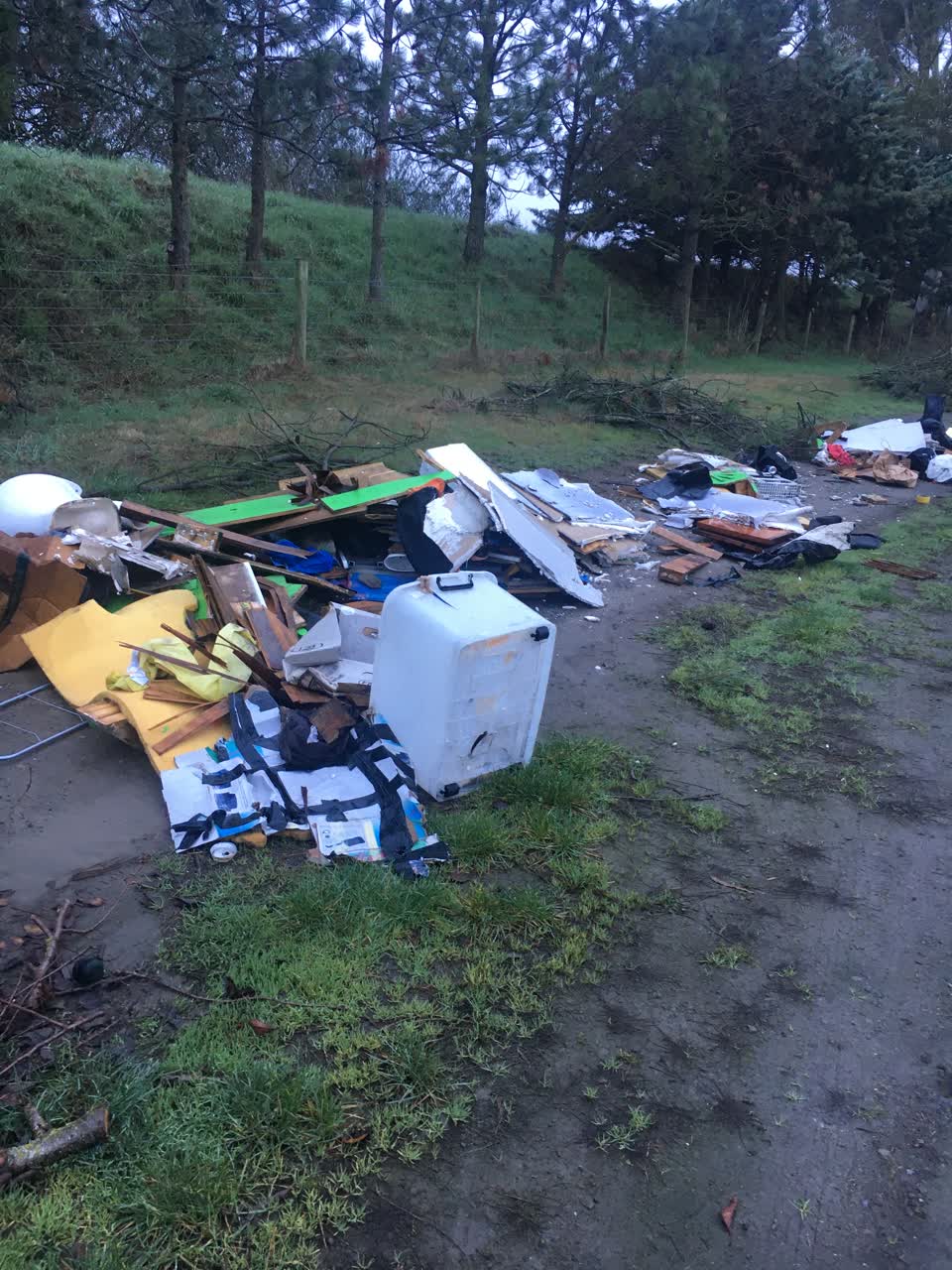 The photograph attached to this rubbish/recycling report