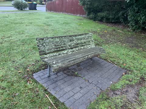 Parks — a report photo