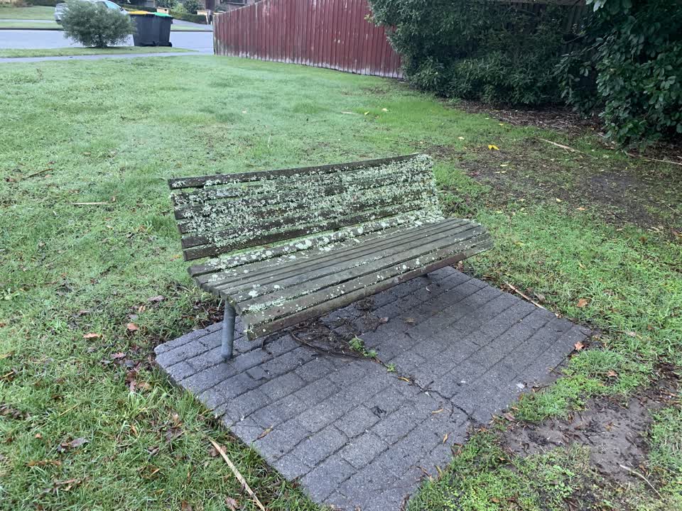 The photograph attached to this parks report
