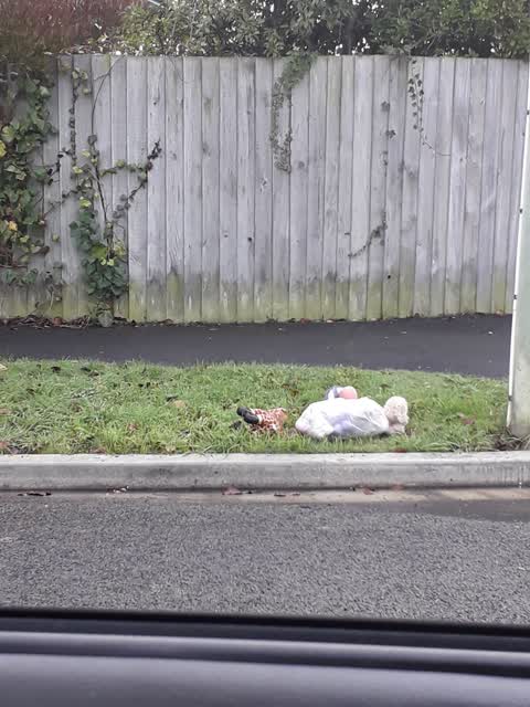 Rubbish/Recycling, a report photo