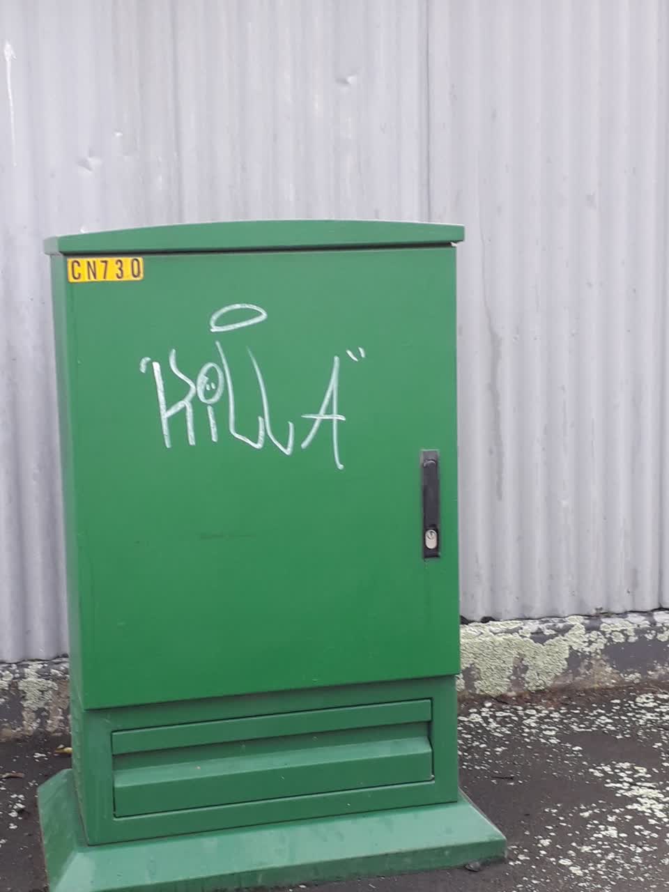 The photograph attached to this graffiti report