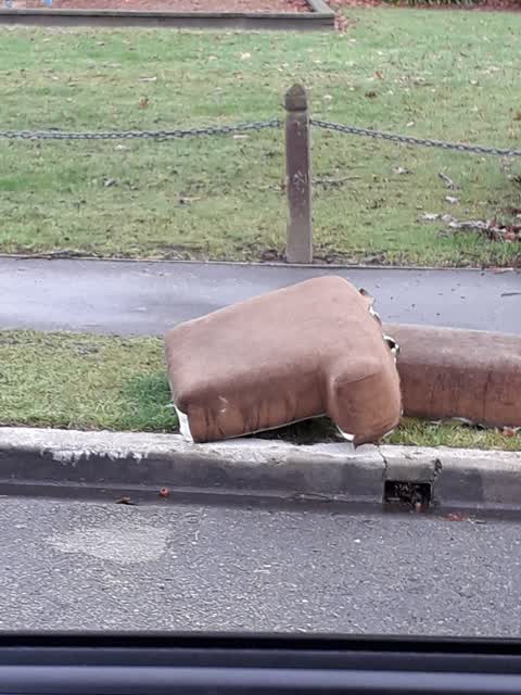 Rubbish/Recycling, a report photo