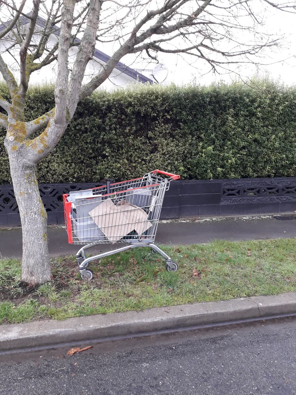The photograph attached to this rubbish/recycling report