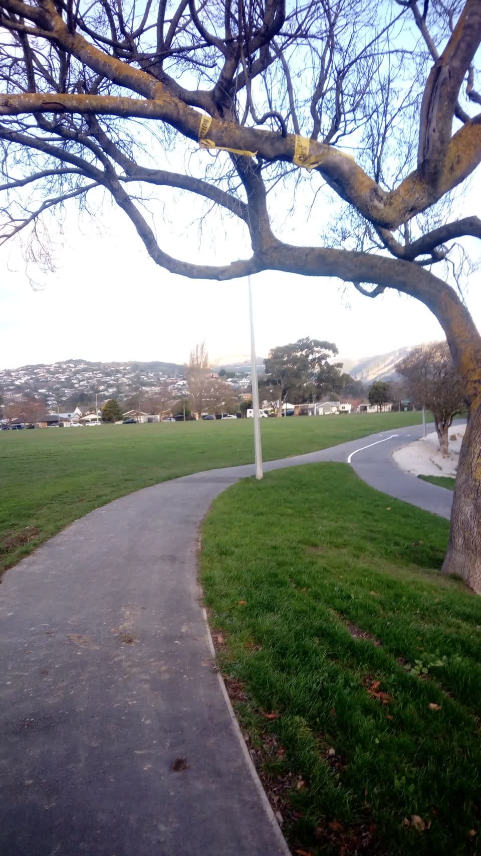 The photograph attached to this parks report