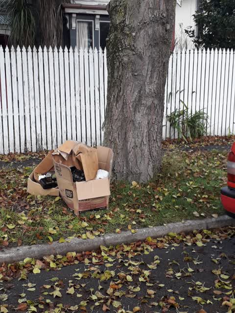 Rubbish/Recycling — a report photo