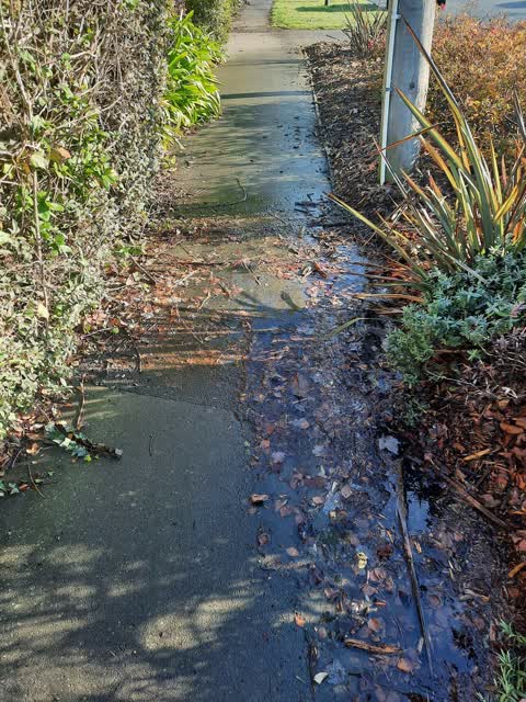 Water Leak, a report photo