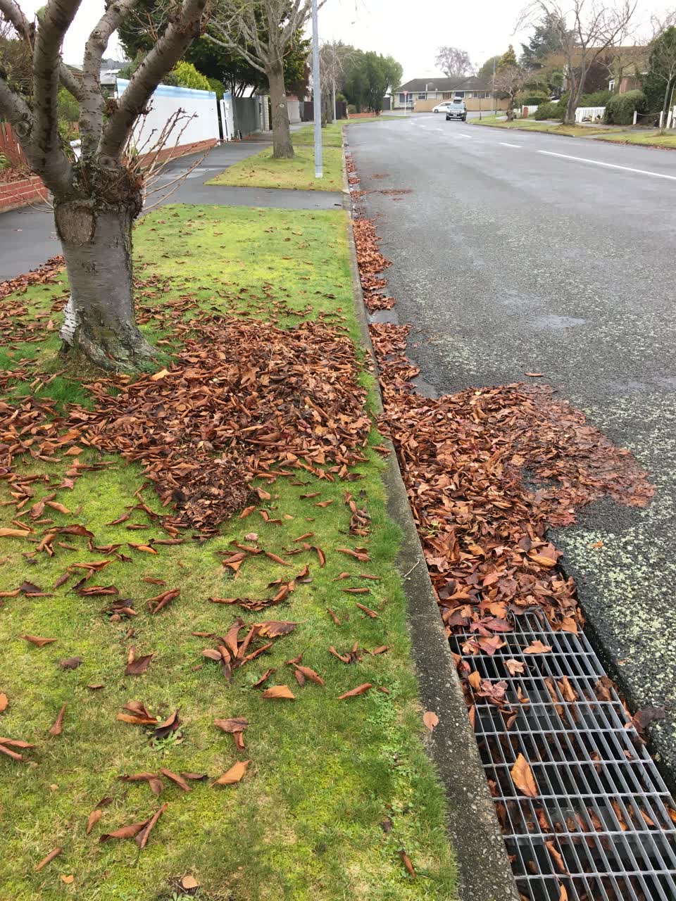 The photograph attached to this wastewater/stormwater report