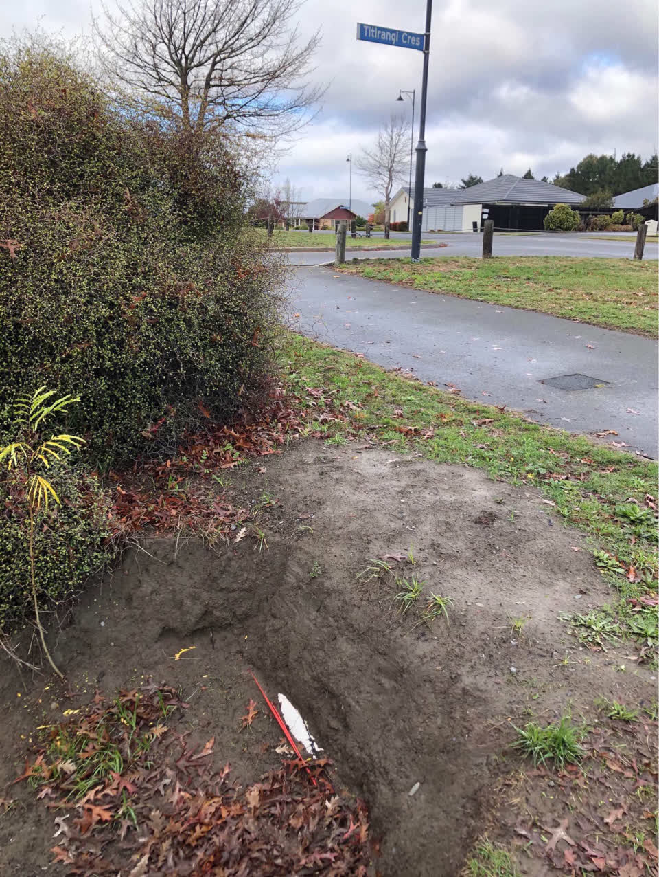 The photograph attached to this parks report