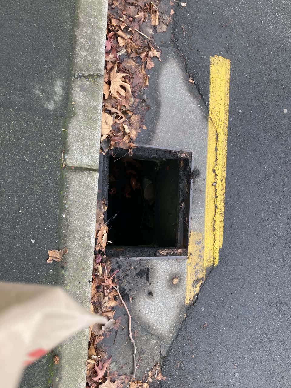 The photograph attached to this wastewater/stormwater report