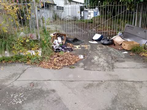 Rubbish/Recycling, a report photo