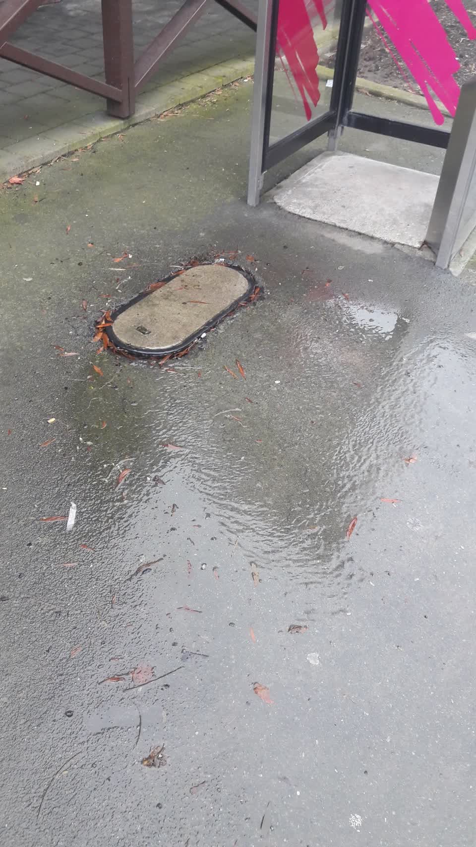 The photograph attached to this water leak report