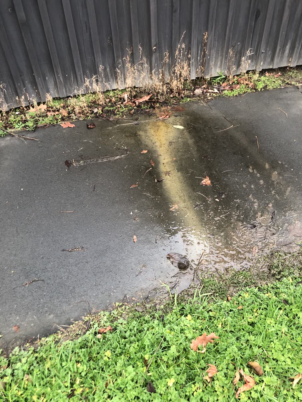 The photograph attached to this water leak report
