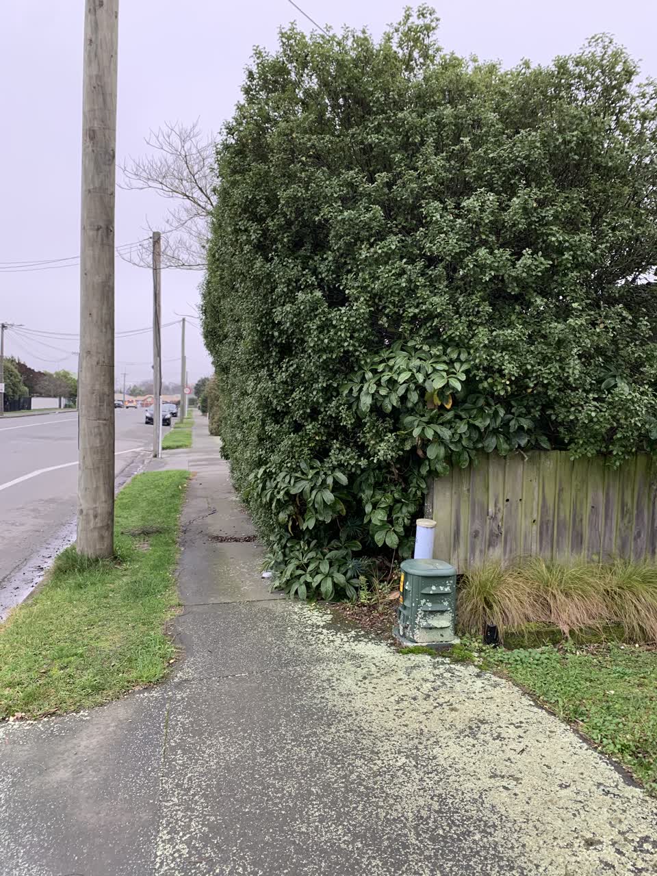 The photograph attached to this roading/streets report