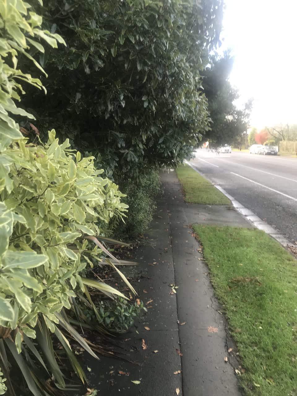The photograph attached to this roading/streets report