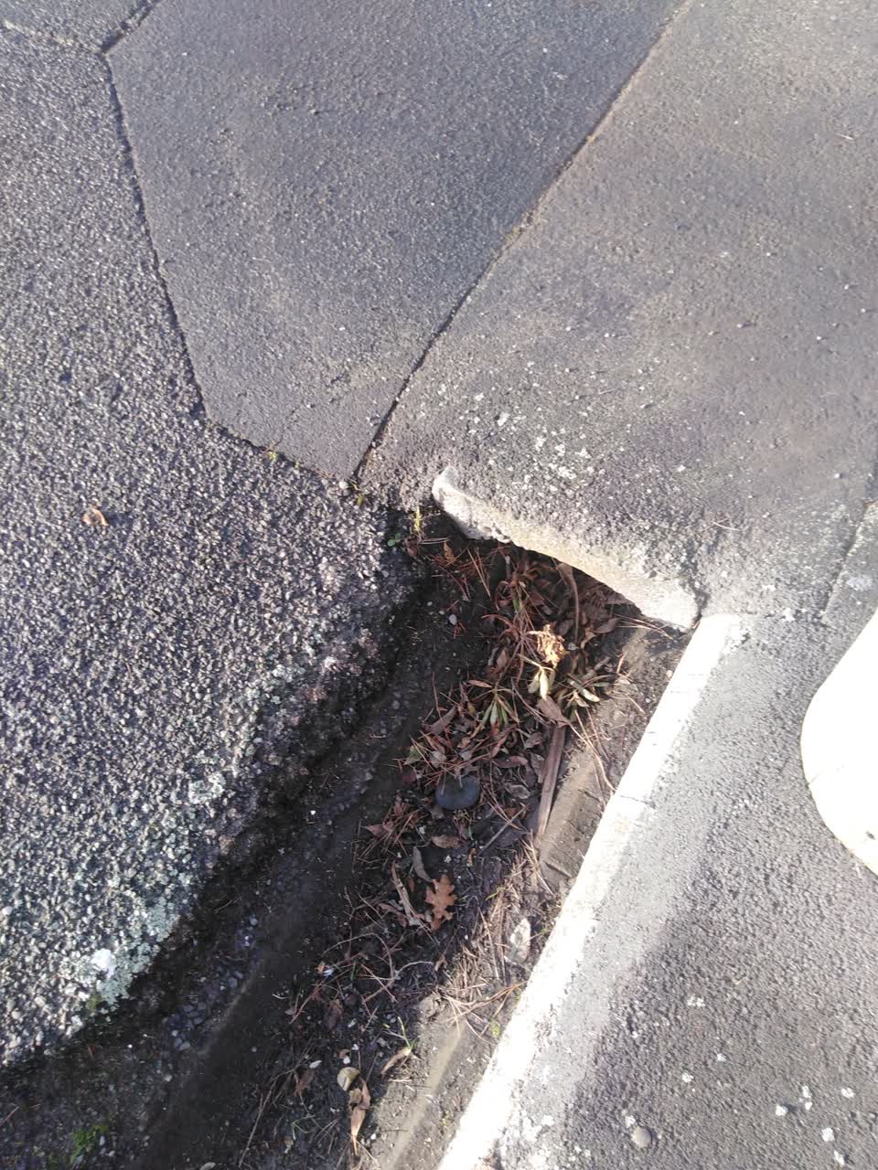 The photograph attached to this wastewater/stormwater report