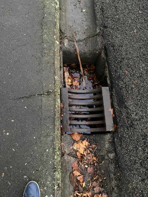 Roading/Streets, a report photo