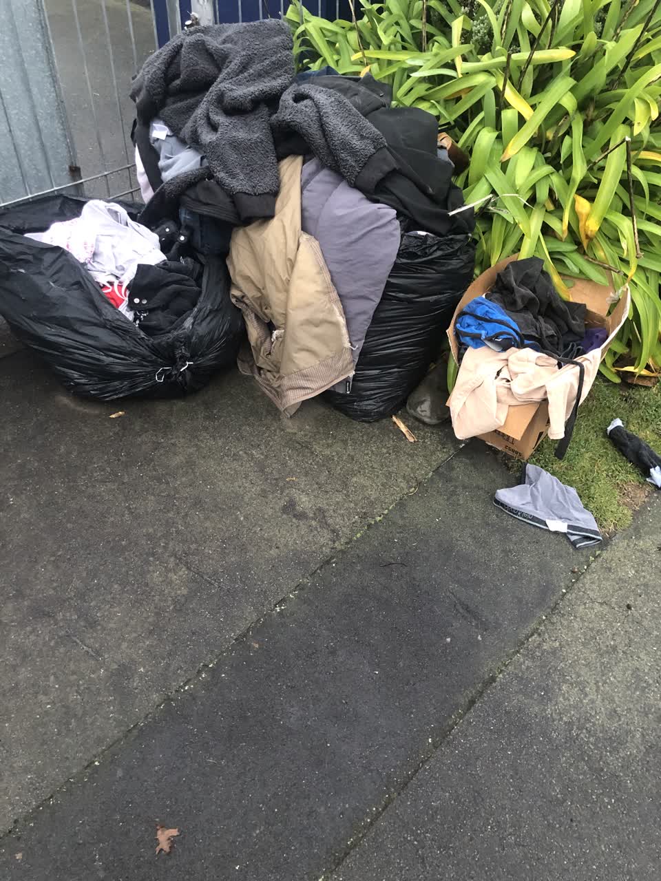 The photograph attached to this rubbish/recycling report