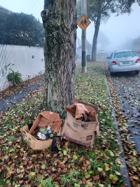 Rubbish/Recycling, a report photo