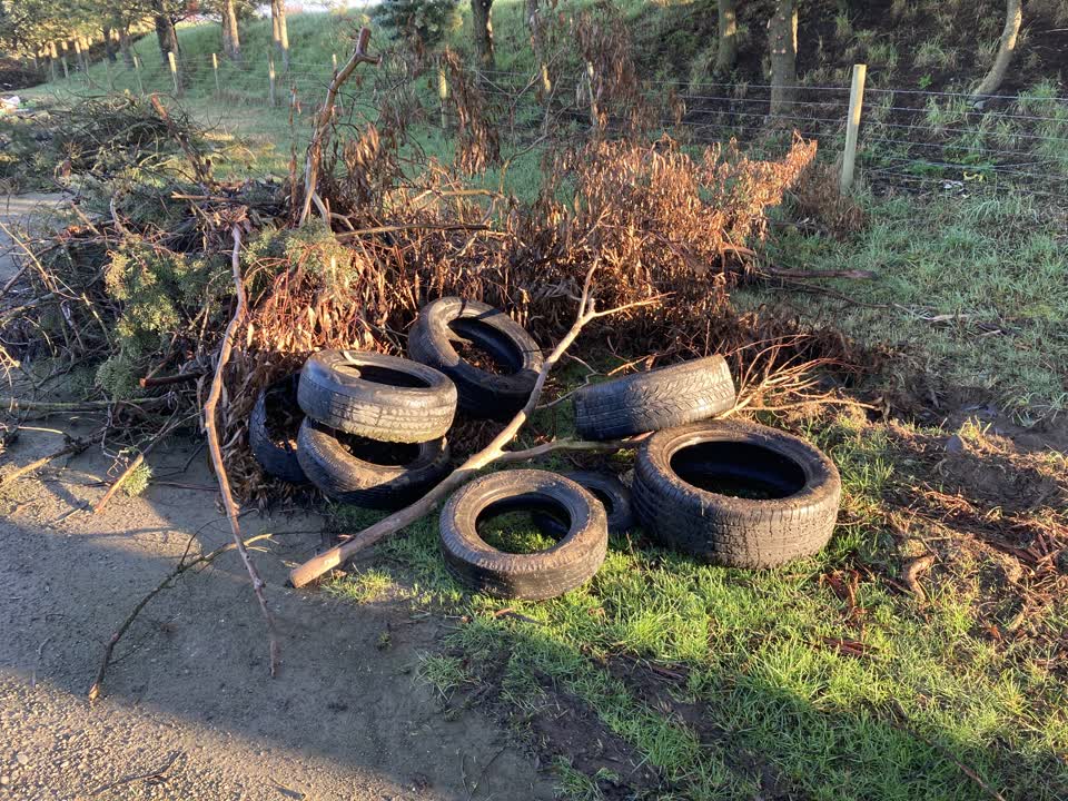 The photograph attached to this rubbish/recycling report