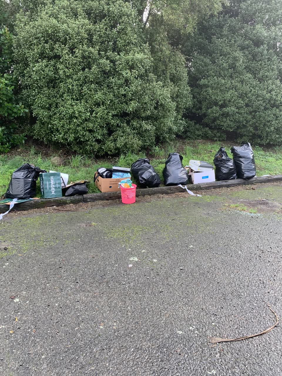 The photograph attached to this rubbish/recycling report
