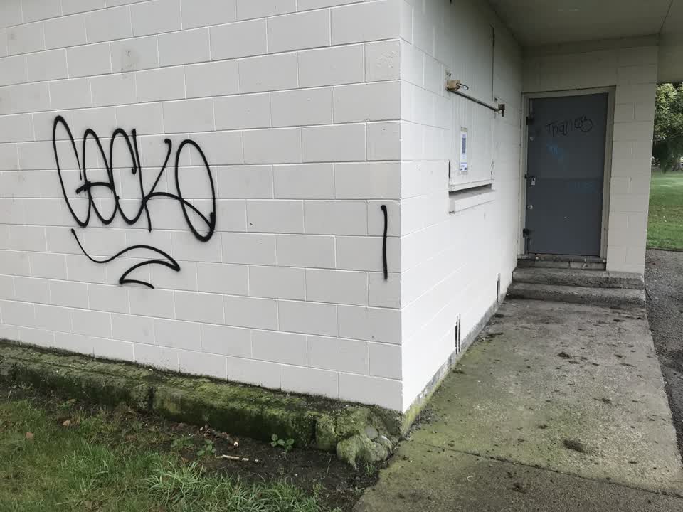 The photograph attached to this graffiti report