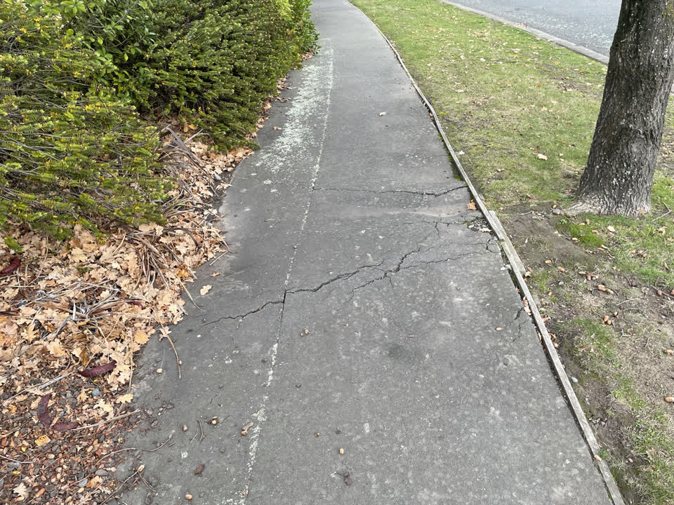 The photograph attached to this roading/streets report