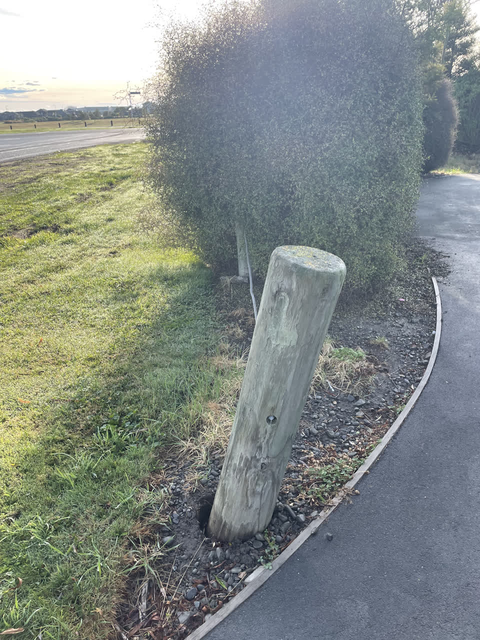 The photograph attached to this parks report