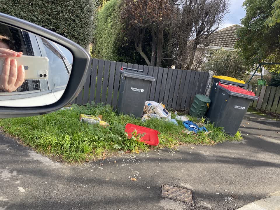 The photograph attached to this rubbish/recycling report