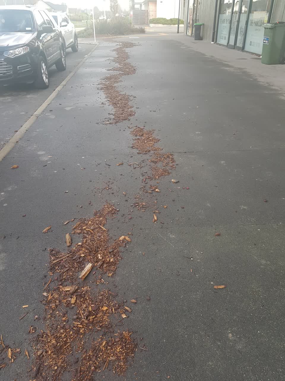 The photograph attached to this roading/streets report