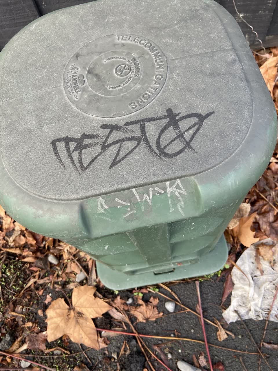 The photograph attached to this graffiti report